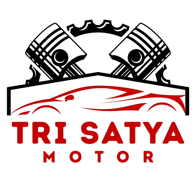 TRI SATYA MOTOR Logo